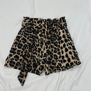 Women dressy short